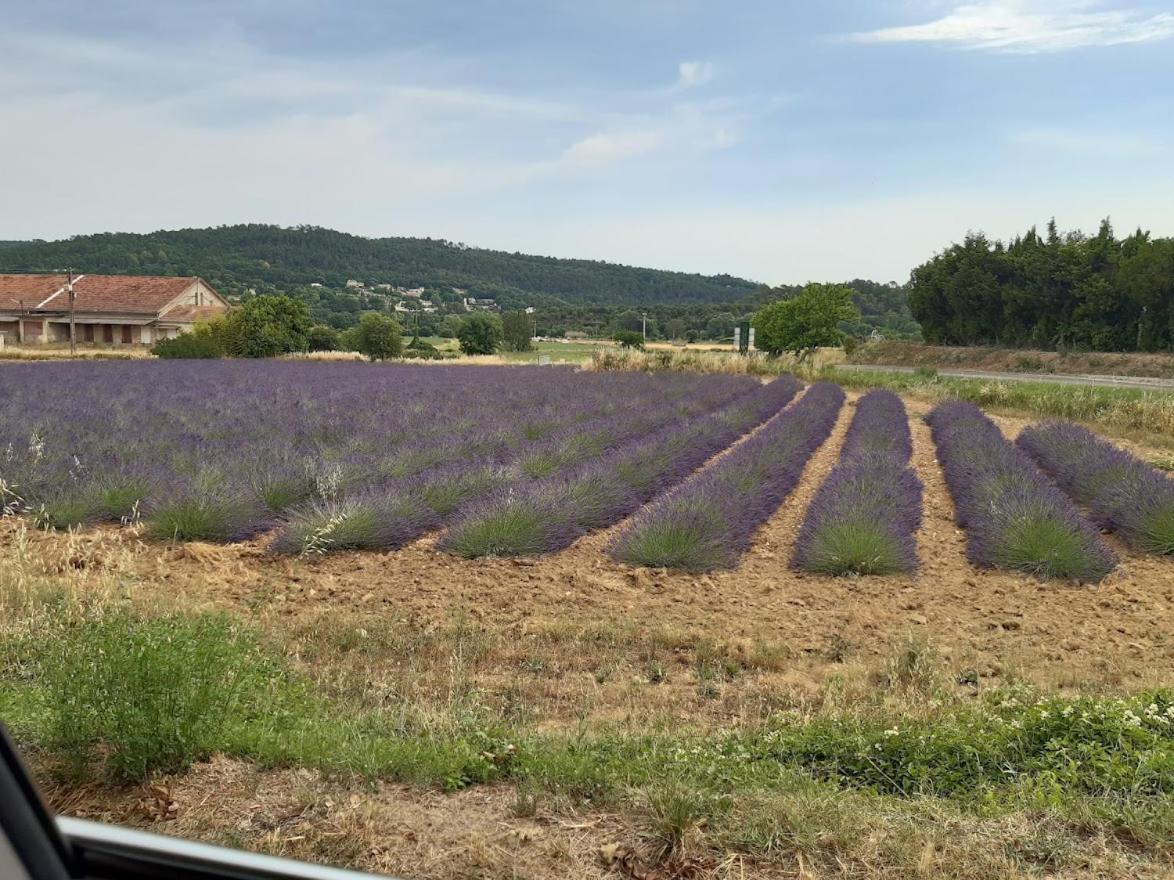 Maison De Famille Entre Vigne Et Lavande Verfeuil Buitenkant foto